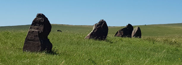 613x220 панорамка камни степи