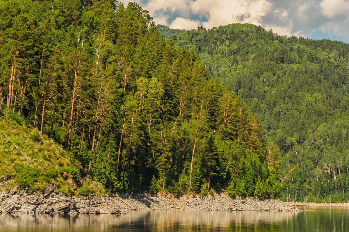 ВИП тур выходного дня «Отдых на водохранилище»