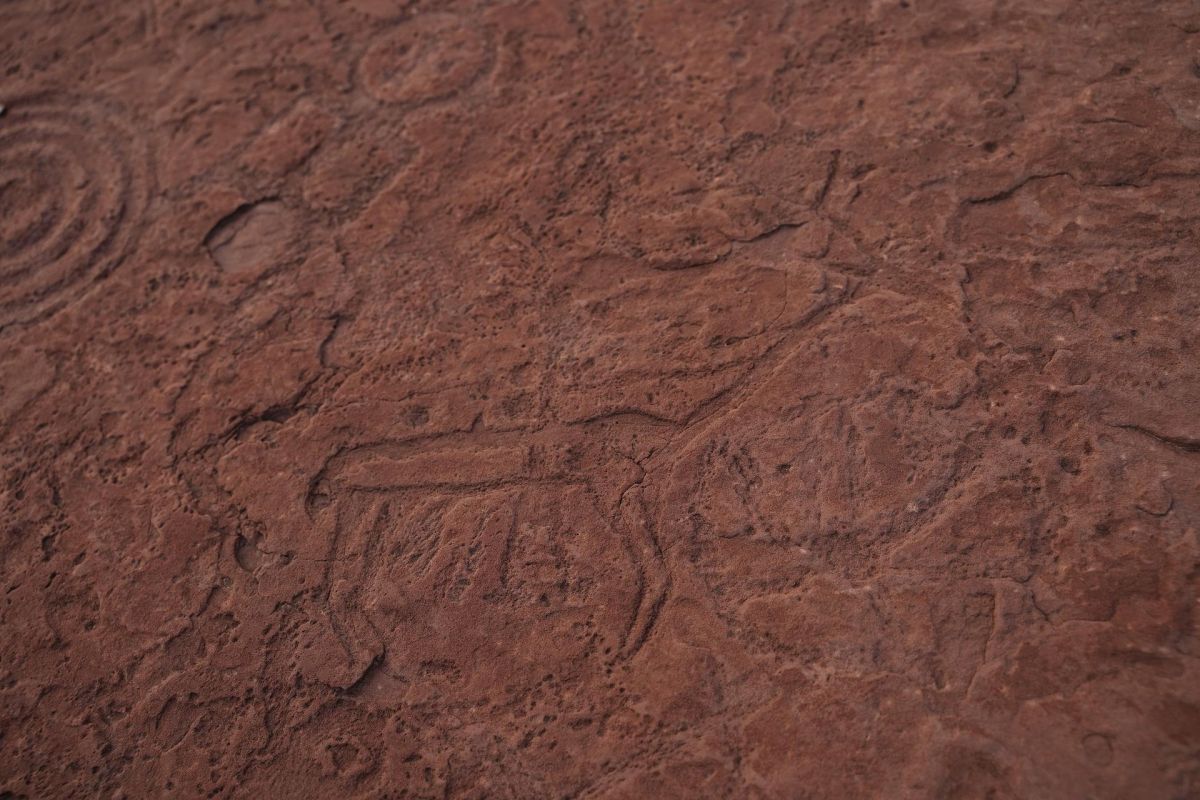 Экскурсия "Оглахты" в заповедник "Хакасский"