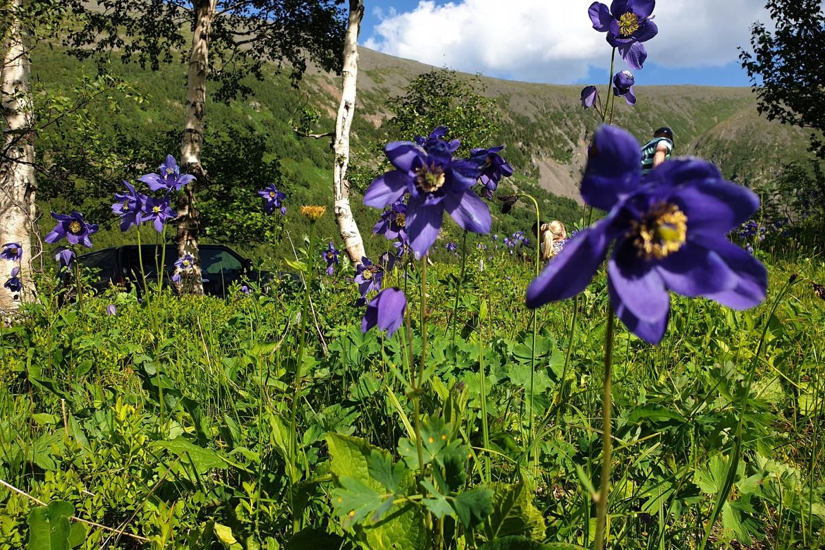 Ивановские озера на выходные