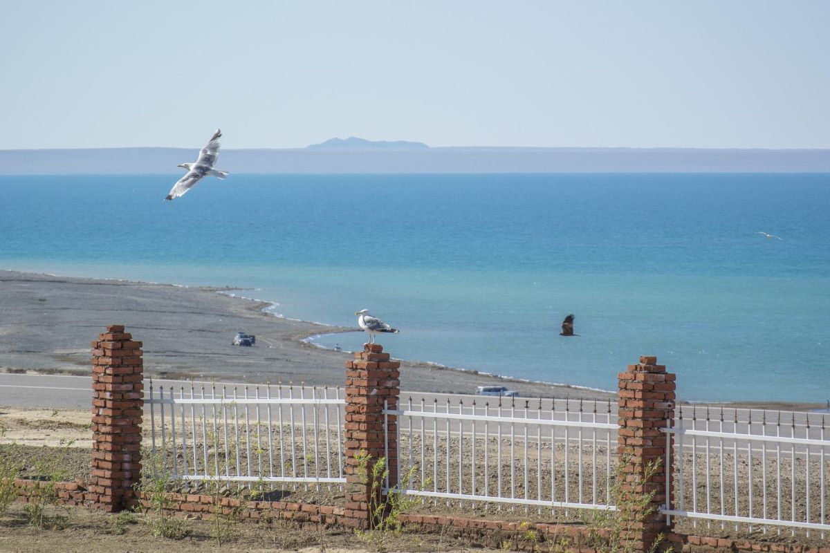 Экспедиционный тур в Монголию «Путь Великой Империи»