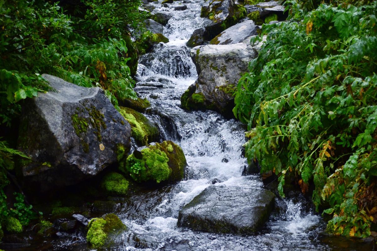Экспресс тур на Ивановские озера