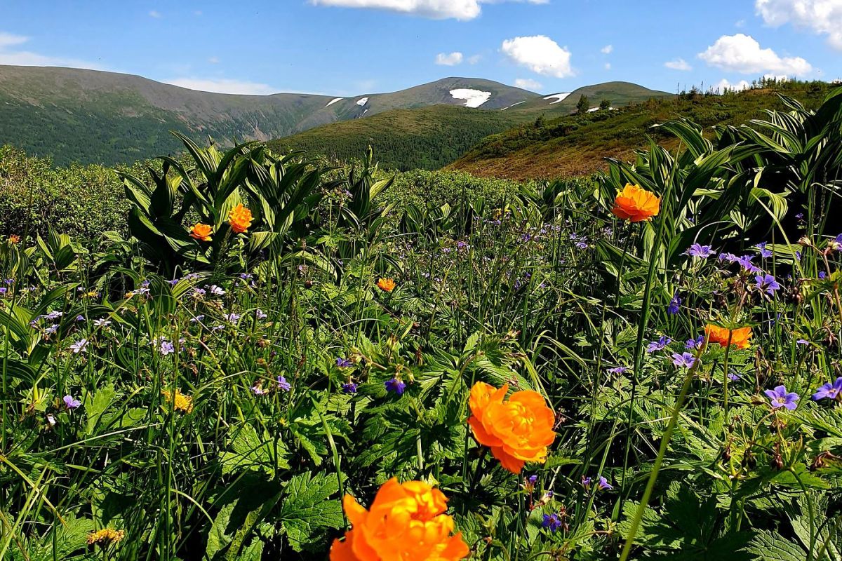 Ивановские озера на выходные