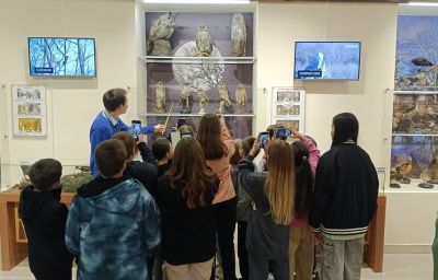 Экскурсия - эконом для школьников в Минусинск
