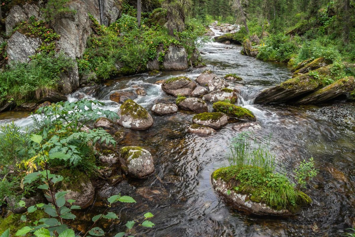 Пешеходный тур в Ергаки