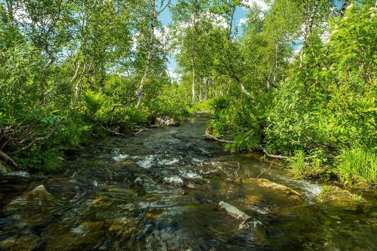 Экспресс тур на Ивановские озера