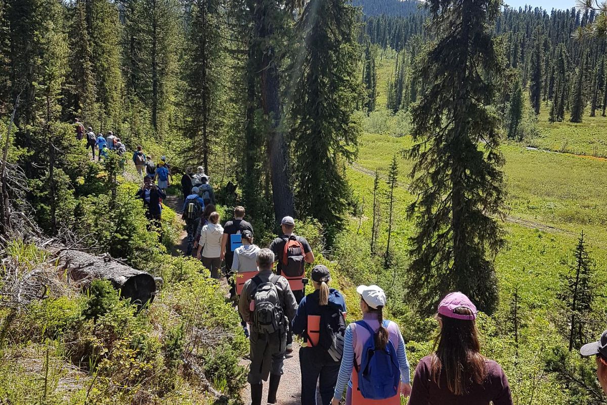 Висячий камень в парке "Ергаки"