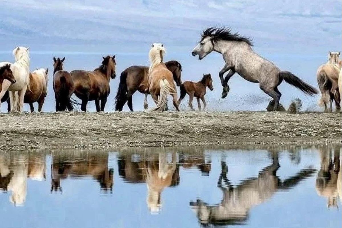 Экспедиционный тур в Монголию «Путь Великой Империи»