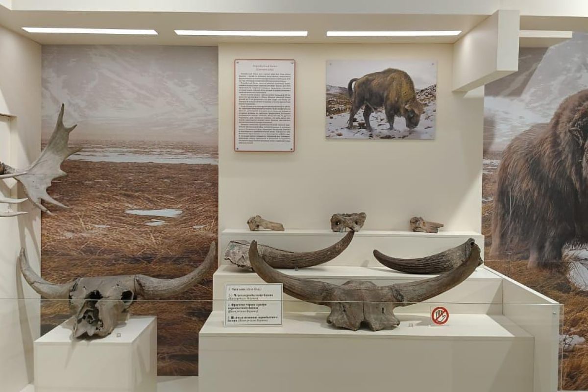 Экскурсия - эконом для школьников в Минусинск