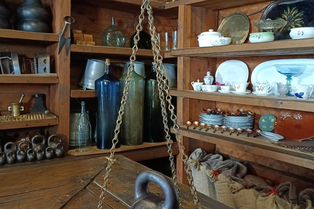 Экскурсия-комфорт для школьников в Шушенское