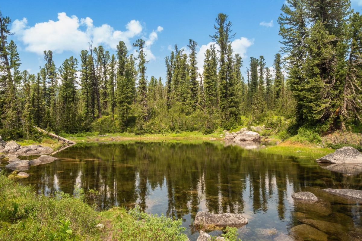 Тур выходного дня в природный парк «Ергаки»: посещение Висячего камня и Каменного города, без рюкзаков