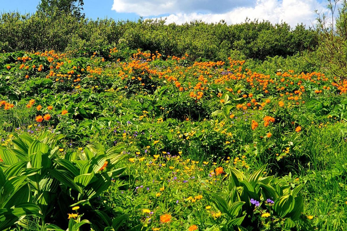 Тур комфорт на Ивановские озера - ЛЕТНИЙ СЕЗОН 2026