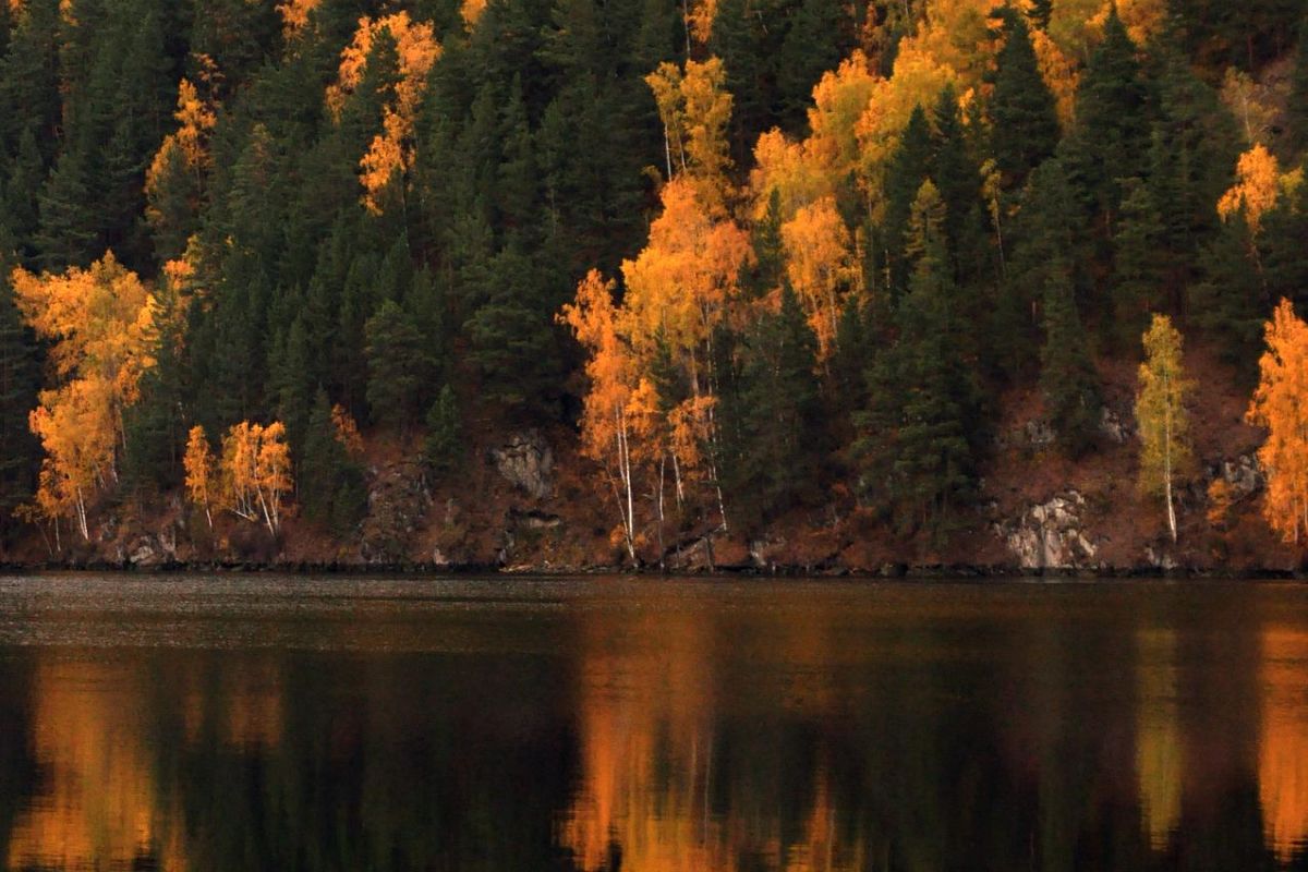 Саянская мозаика (осень, зима)
