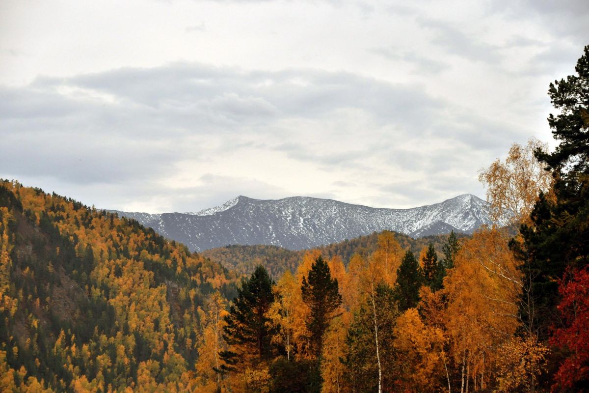 Саянская мозаика (осень, зима)