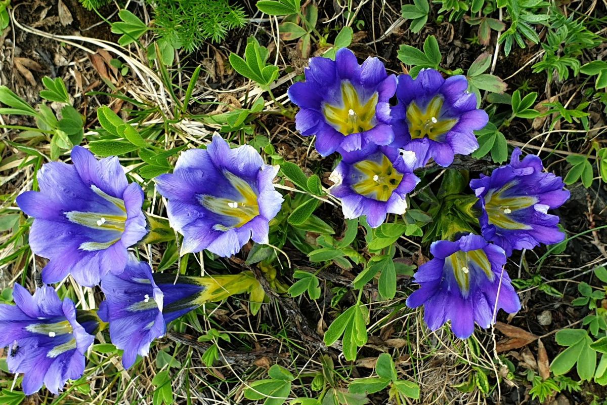 Тур комфорт на Ивановские озера - ЛЕТНИЙ СЕЗОН 2026